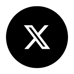 Perfect Soft X icon